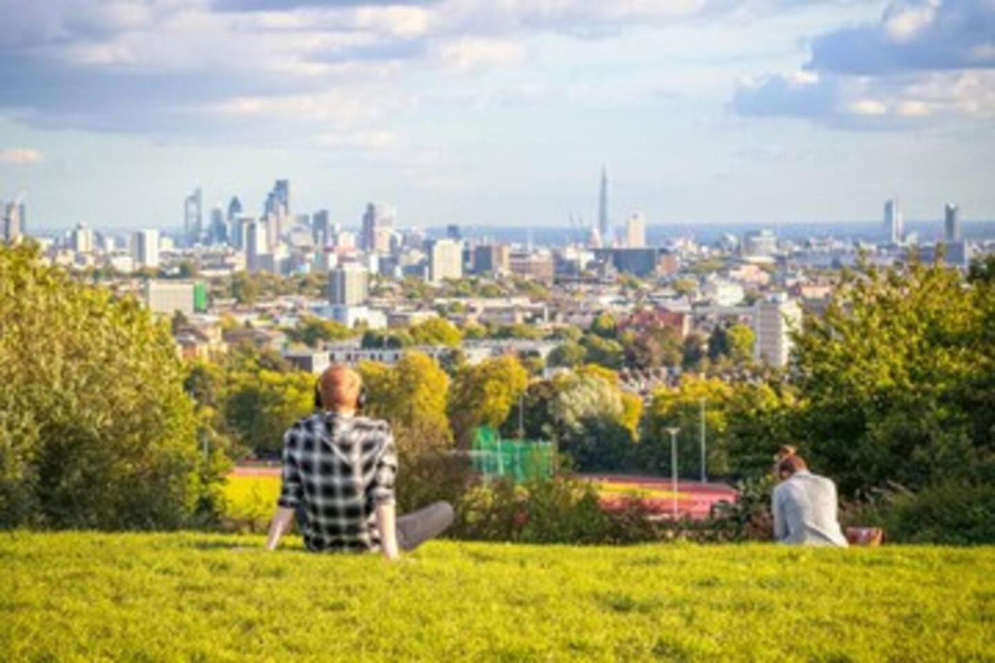 Garden Flat With A Heath Views & Skyline Londra