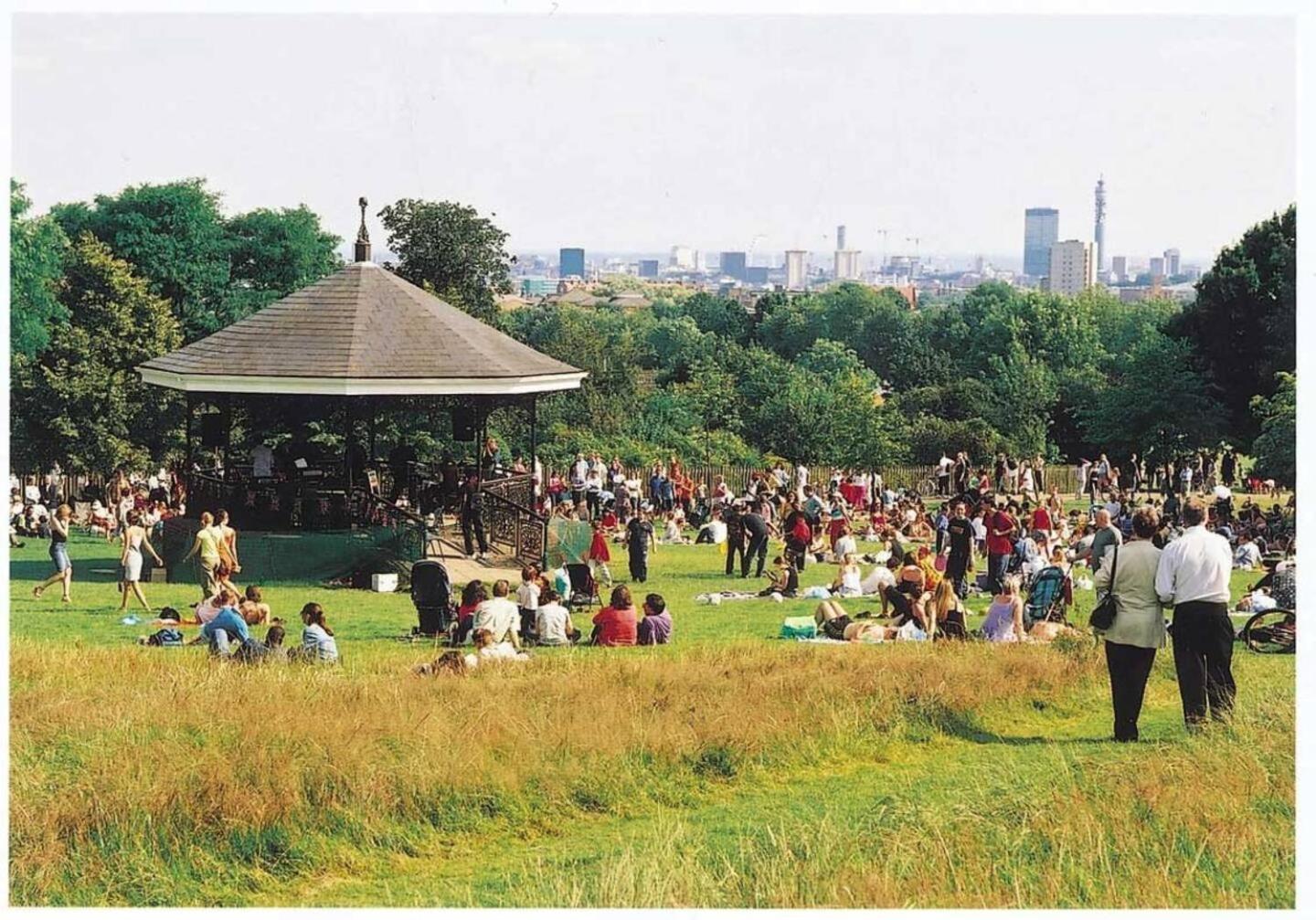 Garden Flat With A Heath Views & Skyline Londra